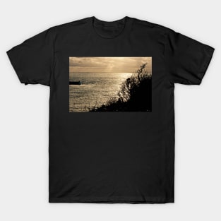 Le Conquet - Entrée du port T-Shirt